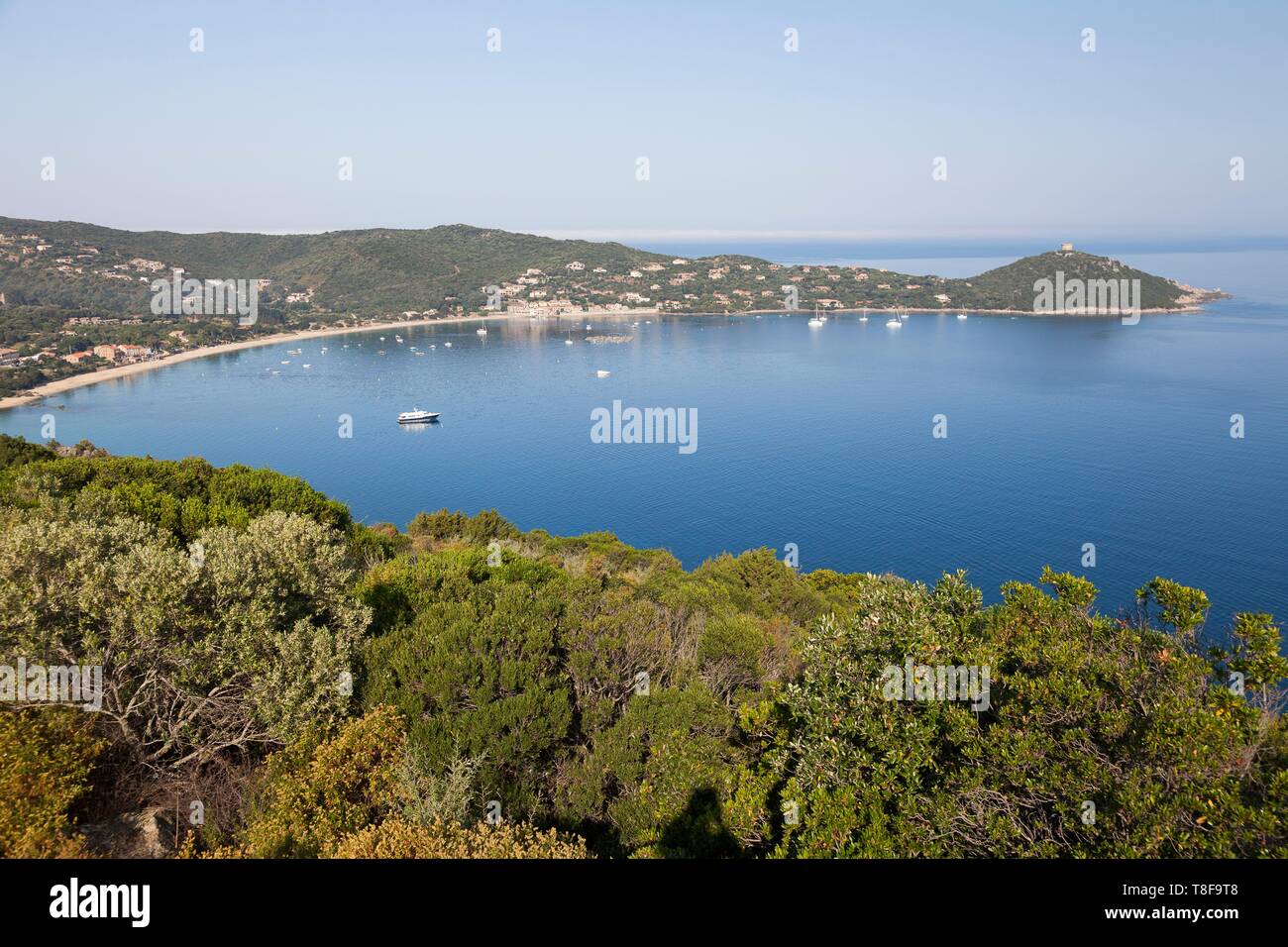 Frankreich, Corse du Sud, Belvedere Campomoro, Campomoro Bay Stockfoto