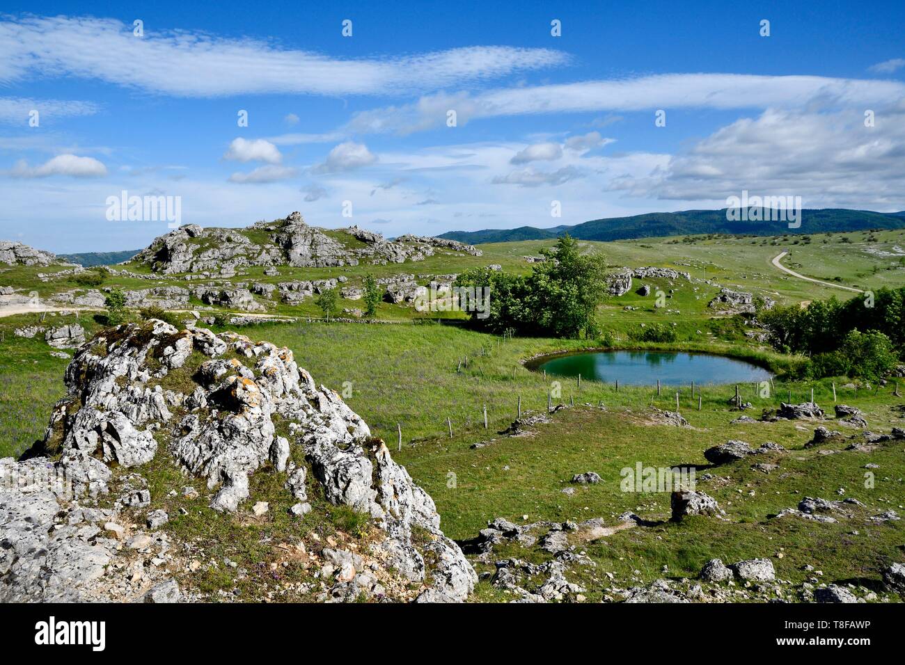 de fourques Fotos und Bildmaterial in hoher Auflösung Alamy