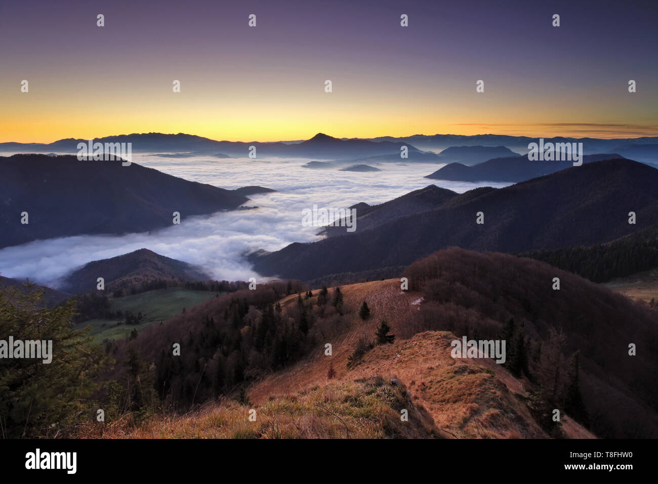 Bergpanorama vor Sonnenaufgang in der Slowakei Stockfoto