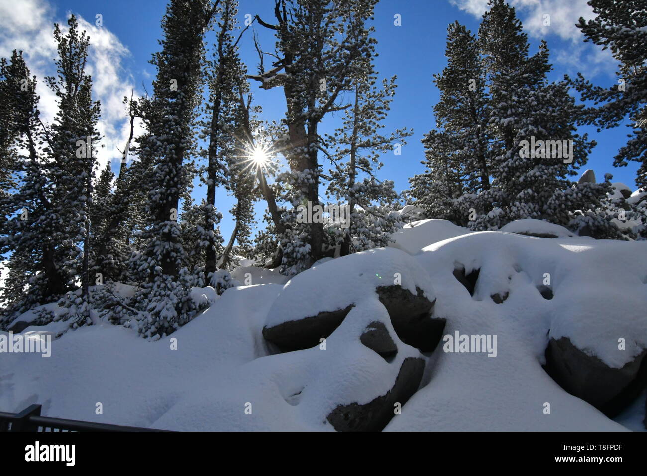 Schnee-Szene Stockfoto