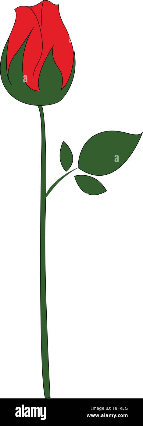 Cartoon Bild der schönen roten Rose und ovale Blätter auf seinen langen, grünen Halm, ist liebenswert und erstaunliche, auf weißem Hintergrund aus gesehen Stock Vektor