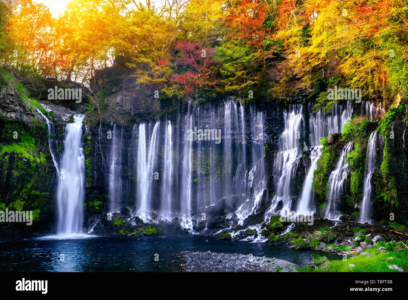 Shiraito Wasserfall in Japan. Stockfoto