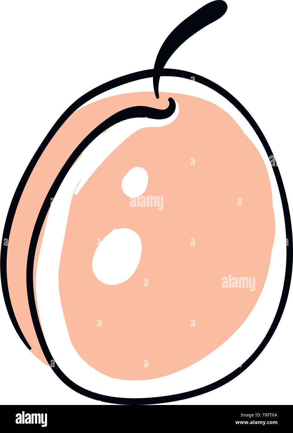 Ein pfirsich Aprikose, Vector, Farbe, Zeichnung oder Abbildung. Stock Vektor