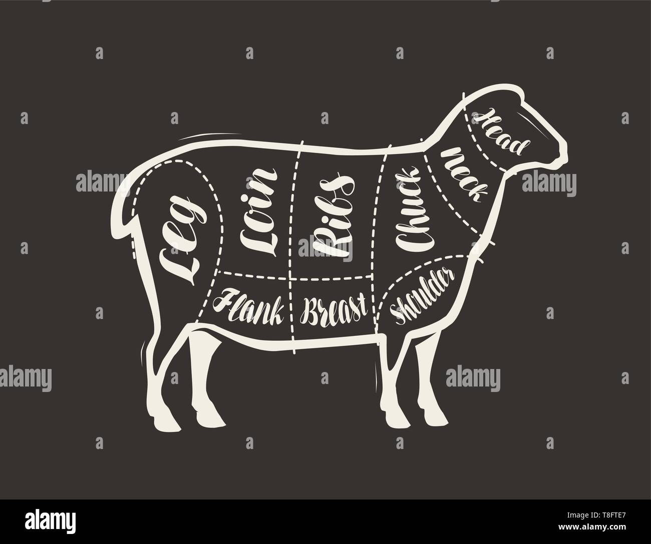Schnitt von Lammfleisch an die Tafel gezeichnet. Menü für Restaurant oder Metzgerei. Vektor Stock Vektor
