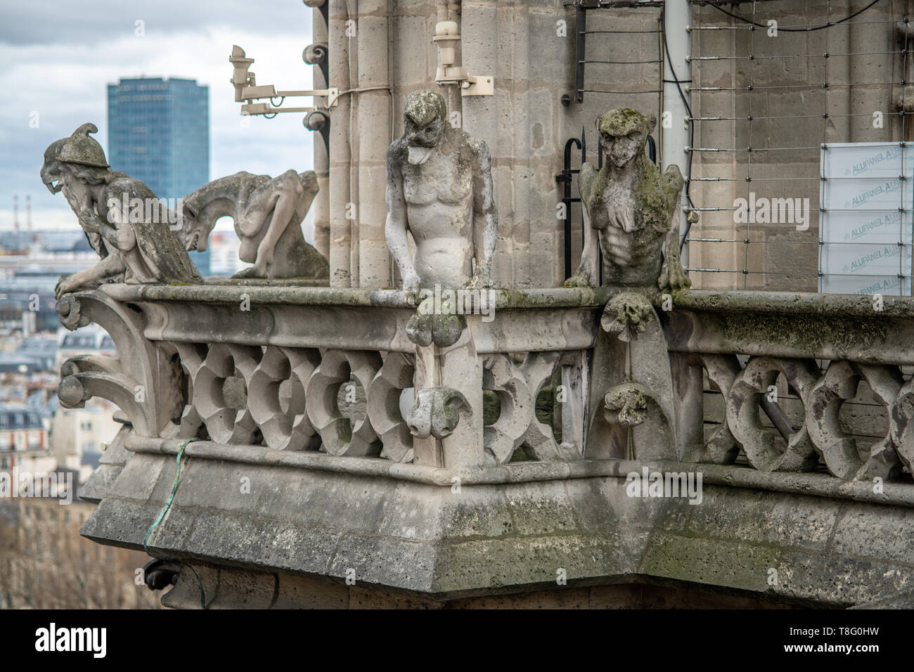 Wasserspeier auf die Kathedrale Notre Dame, Paris, Frankreich. Notre Dame - Paris, Frankreich Stockfoto