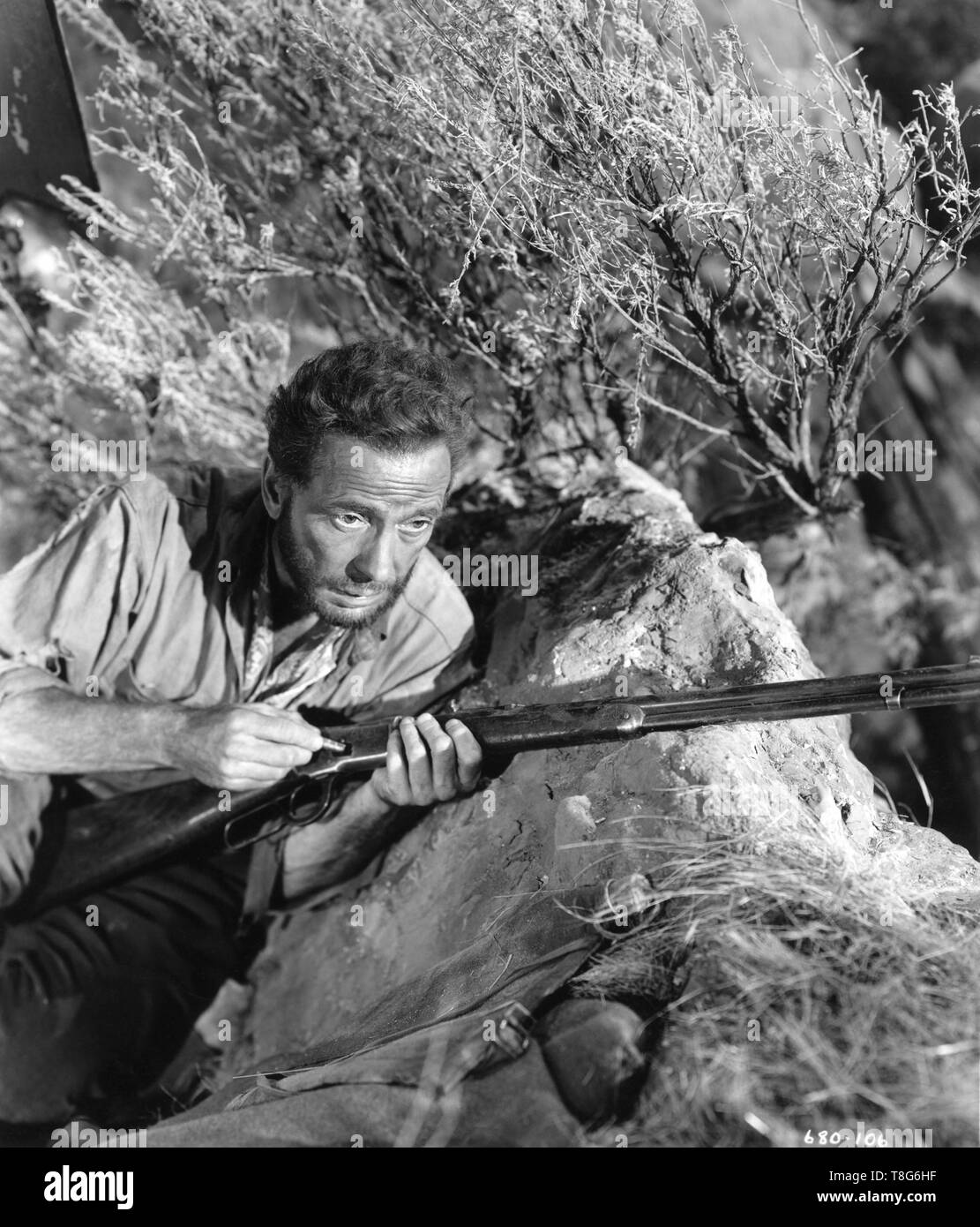 Humphrey Bogart als Fred C. Dobbs, DER SCHATZ DER SIERRA MADRE 1948 Regie/Drehbuch John Huston Roman B. Traven Warner Bros. Stockfoto