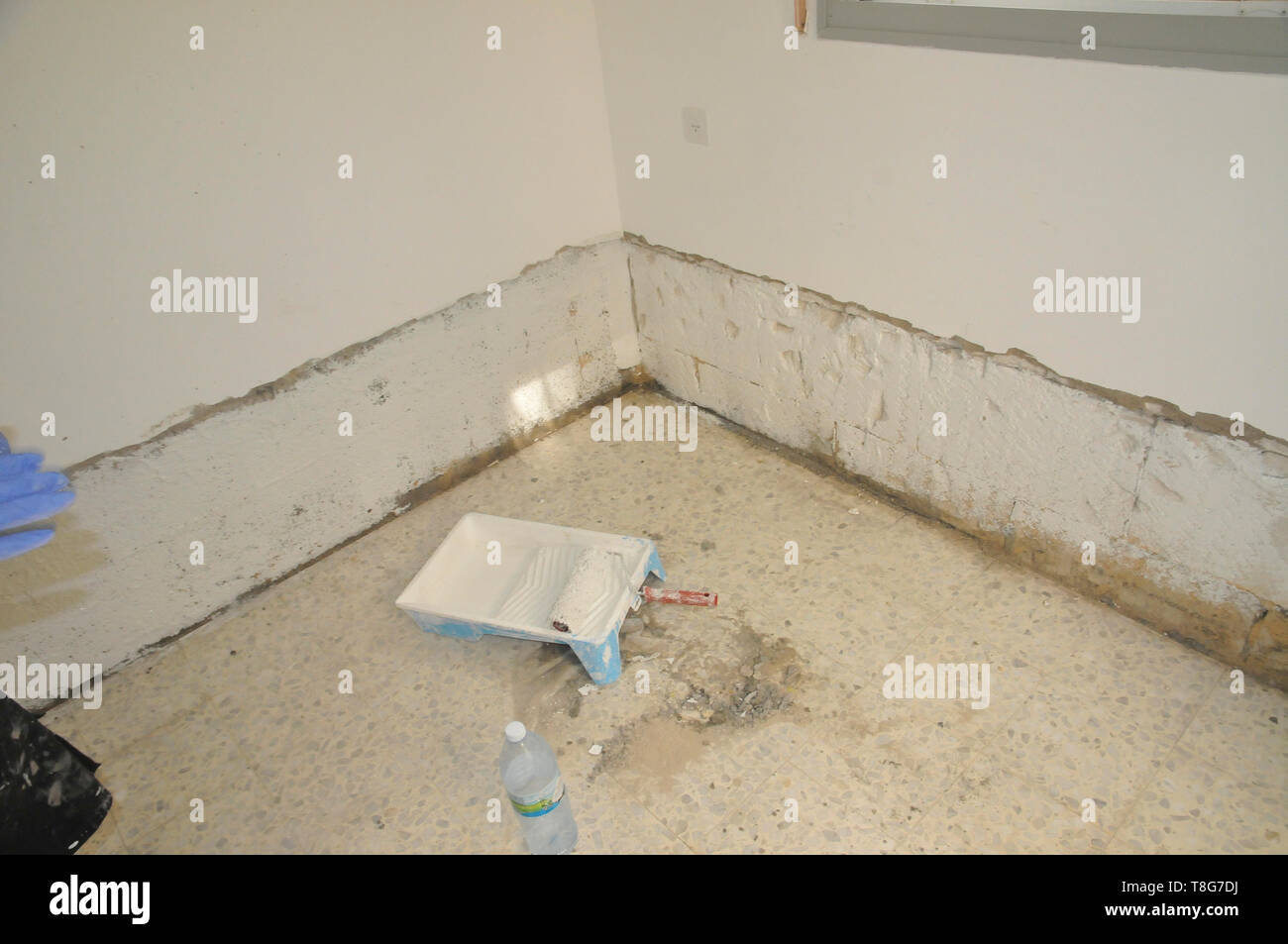 Home Improvement. Ein Zimmer ist mit weißer Farbe bemalt Stockfoto