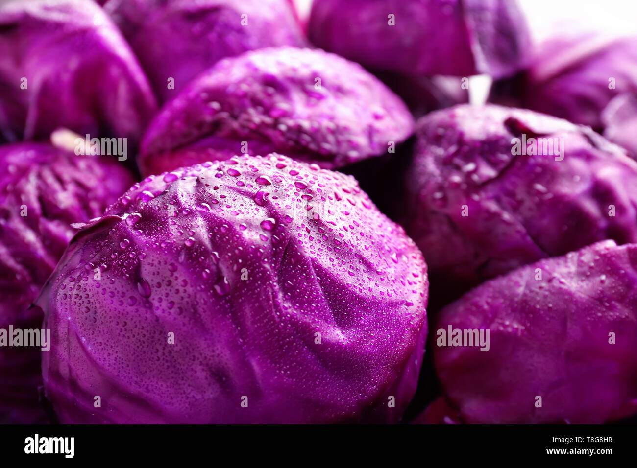 Rotkohl mit Wassertropfen, Nahaufnahme Reife Stockfoto