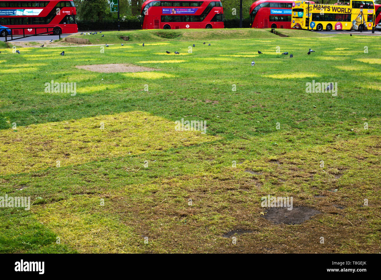 London. Aussterben Rebellion. Markierungen im Gras zeigen, wo Zelte aufgebaut wurden und jetzt gegangen. Stockfoto