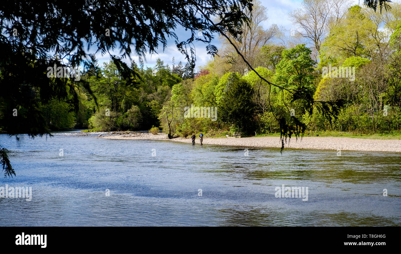 Angeln am Fluss Ness in Inverness, Schottland Stockfoto