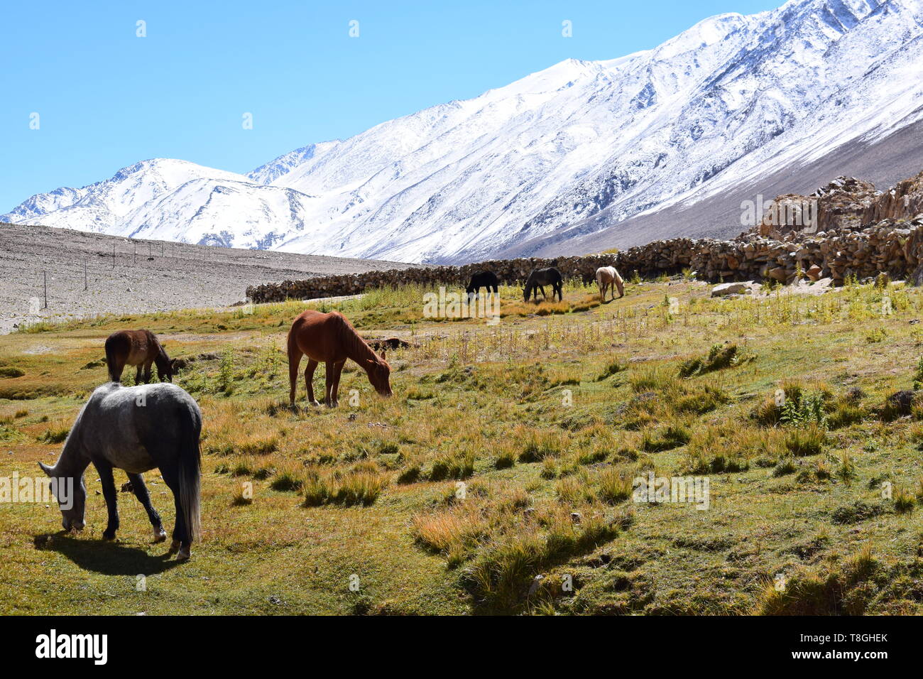 Kostenlos an der Spitze der Welt Stockfoto