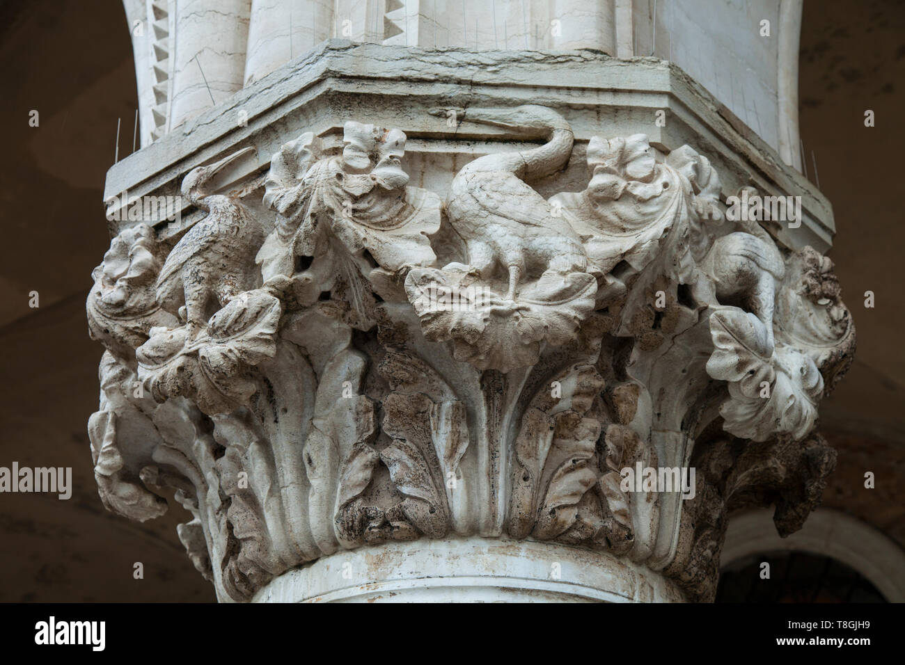 Palacio Ducal, Plaza de San Marcos, Venecia, Capital de la región del Véneto, Italia, Mar Adriático, Mar Mediterráneo Stockfoto