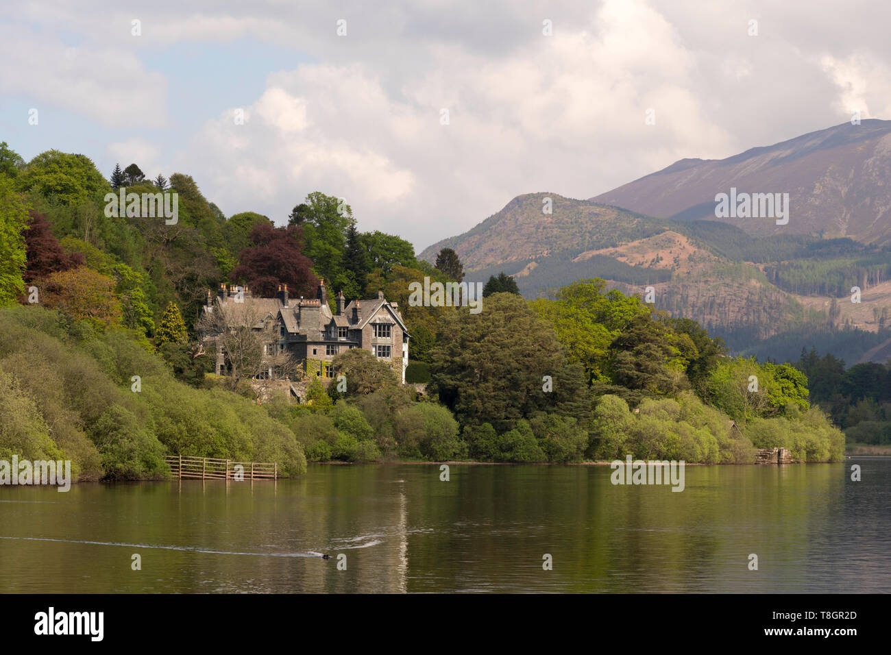 Blick Richtung Portinscale über Derwentwater vom Lingholm Immobilien, Cumbria, England, Großbritannien Stockfoto