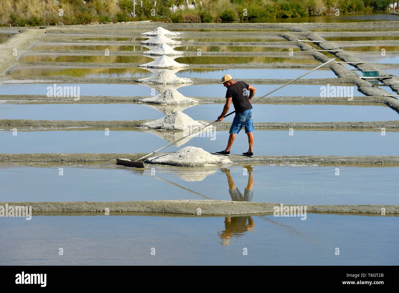 Frankreich, Loire Atlantique, Parc Naturel Regional de la Briere (Briere Regionalen Naturpark), Presqu'ile de Guérande (guerande der Halbinsel), salzgärten von Guérande, Ernte der Fleur de Sel (die Blume des Salzes) Stockfoto