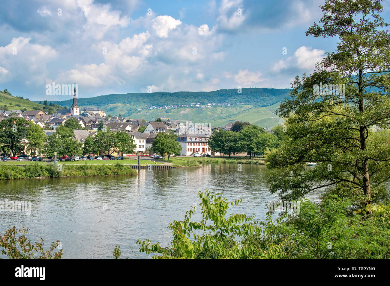 Landschaft der Mosel Tal und den Fluss mit einem malerischen Dorf, Deutschland Stockfoto