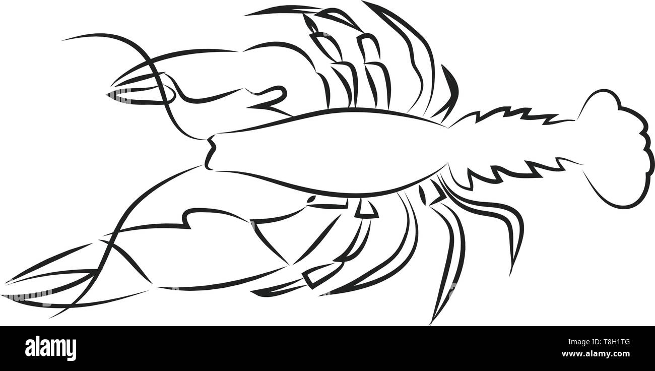 Hummer Hand gezeichnet Design, Illustration, Vektor auf weißem Hintergrund. Stock Vektor