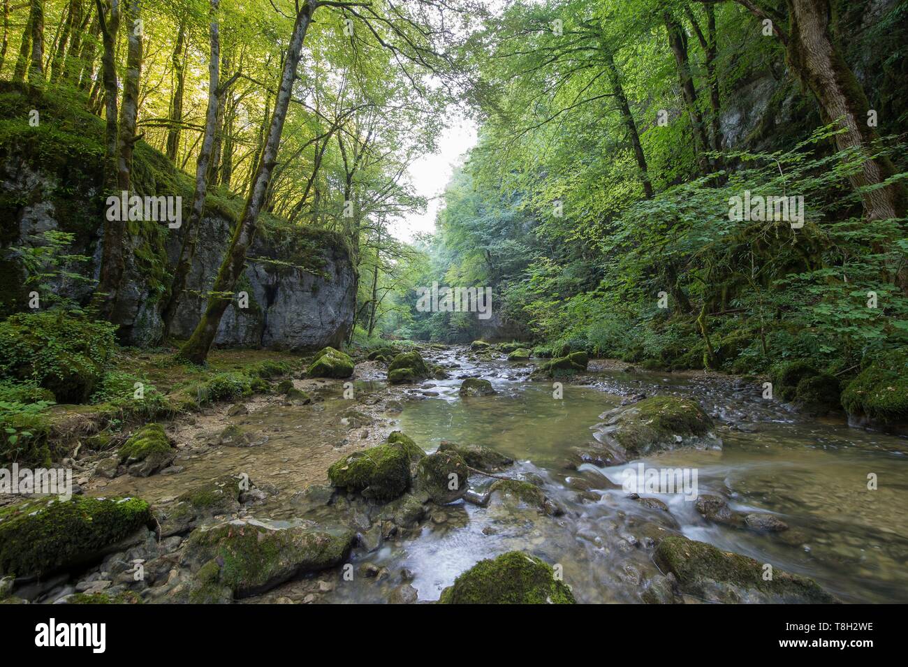 Frankreich, Doubs, Loue Valley, die Schlucht von Puy Noir nach Ornans, Treffpunkt des Malers Gustave Courbet Stockfoto