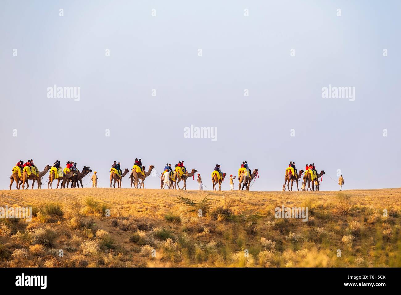 Indien, Rajasthan, Osiyan (oder Osian), das Tor zur Wüste Thar, Kamelritt Stockfoto