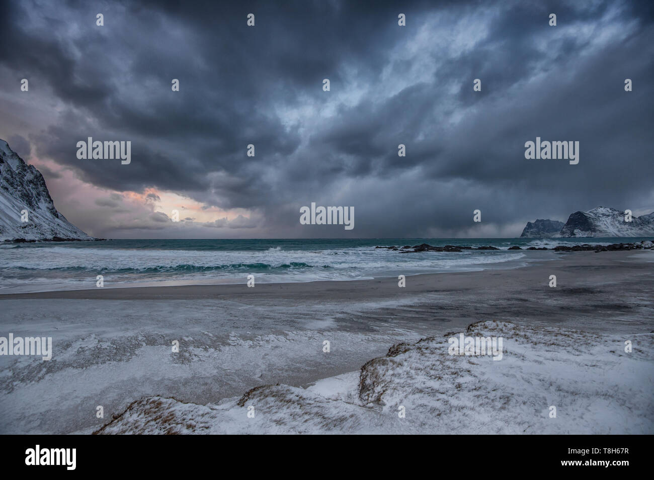 Arctic Marine, Lofoten, Nordland, Norwegen Stockfoto
