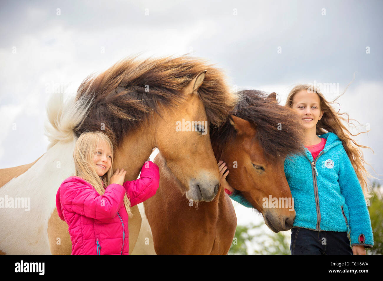Islandpferd. Zwei Mädchen schmusen mit zwei Erwachsenen Pferden. Österreich Stockfoto