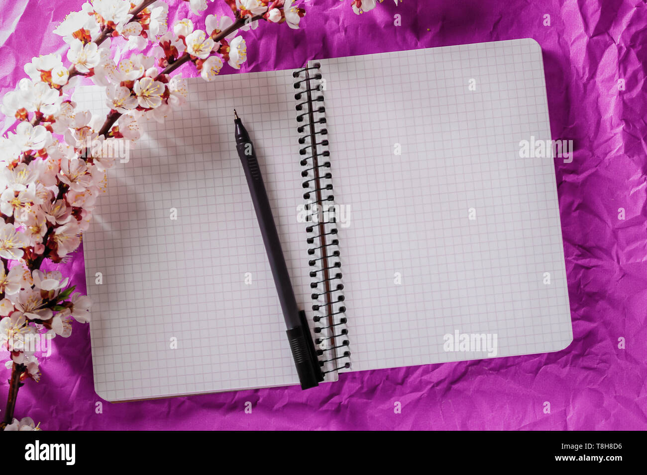 Leer, Notebooks, Pen und Cherry blühenden Zweig auf hellen Hintergrund geöffnet. Konzepte von Romantik und Liebe Stockfoto