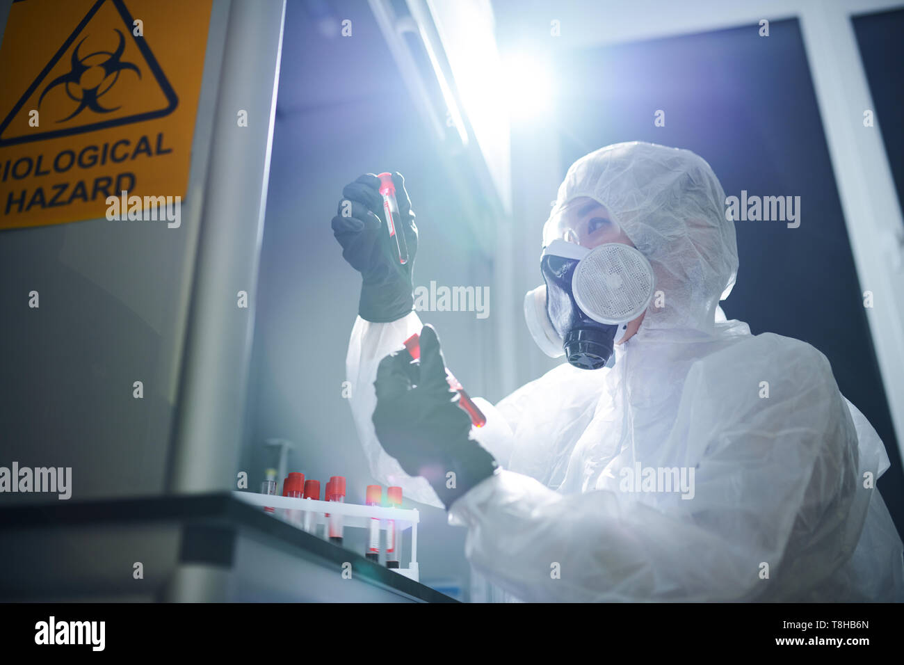 Studium gefährlicher Virus im Blut Stockfoto