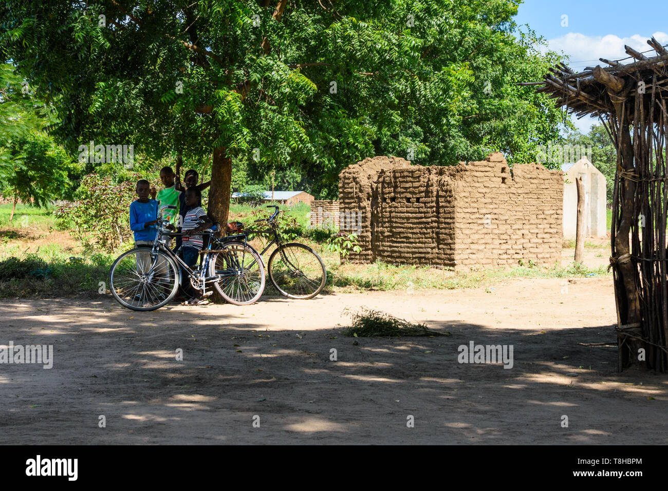Malawischen Jungen stehen unter dem Schatten eines Baumes guarding mens Fahrräder in einem Dorf in Malawi Chikwawa neben einem Schlamm Gebäude, dessen Dach in verloren hat. Stockfoto