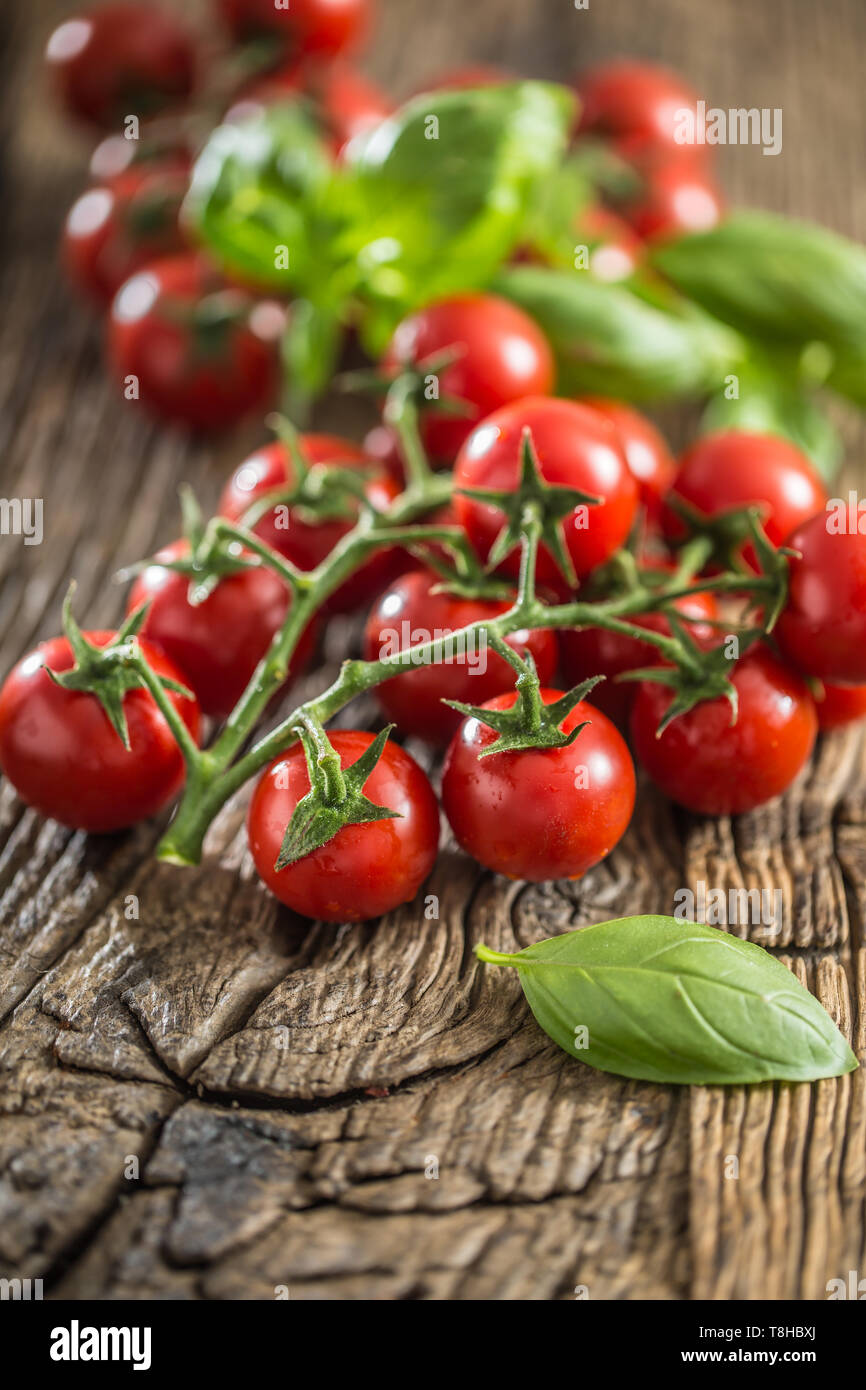 Frisches Bündel reife Tomaten mit Basilikum Blätter auf alte Eiche Tisch Stockfoto