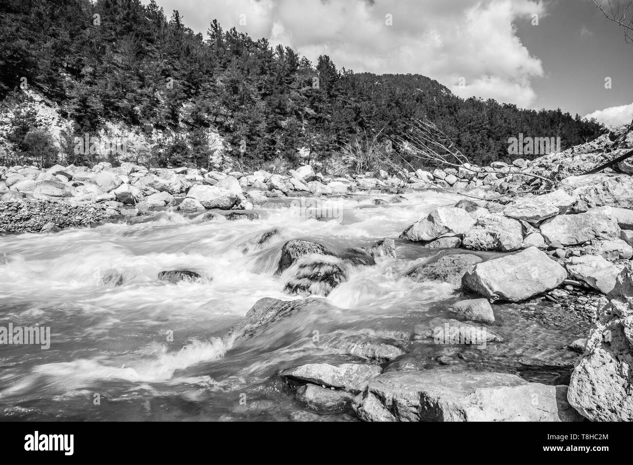 Schnelle Mountain River im Frühjahr Stockfoto