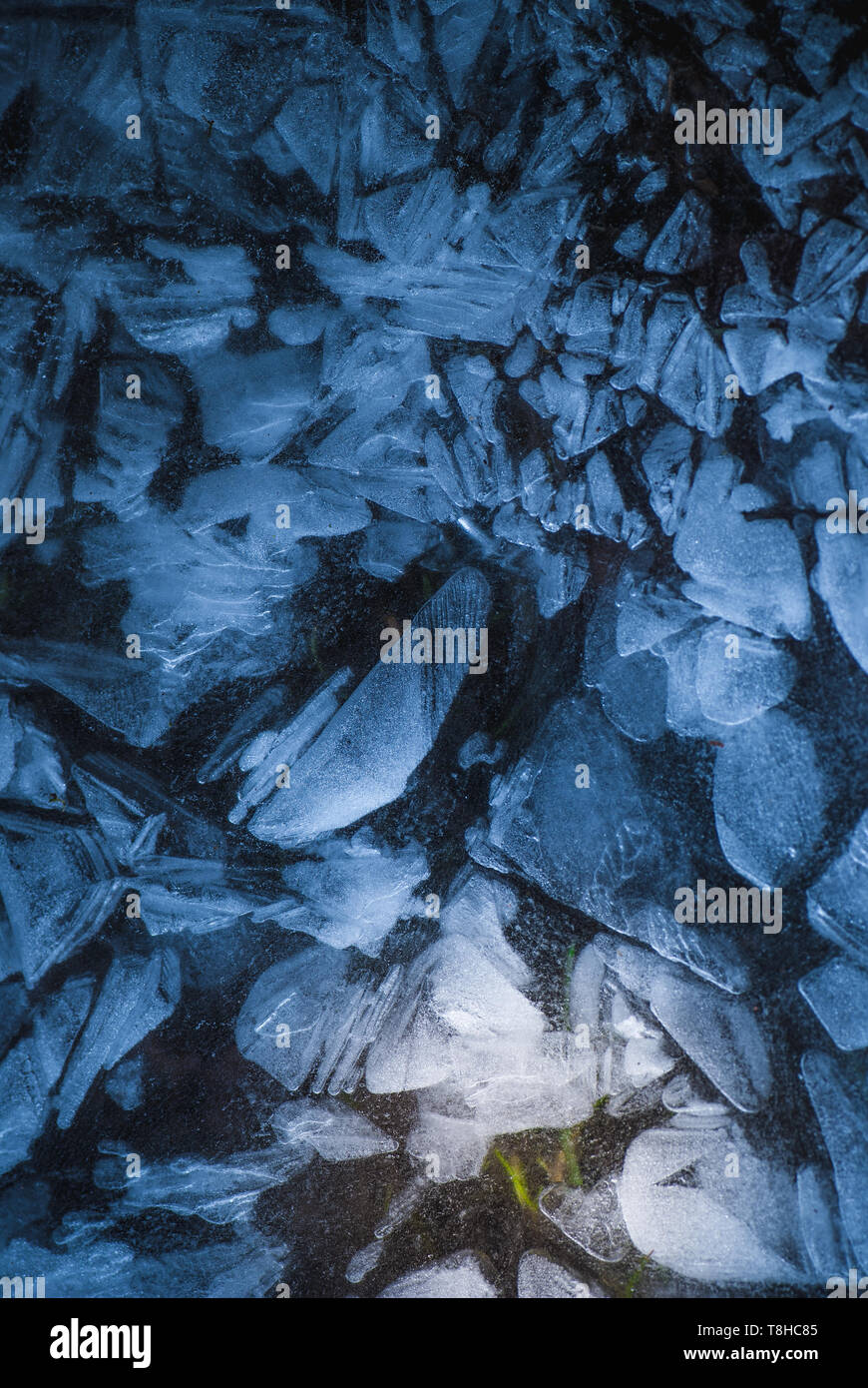 Netzwerk von Rissen in Dicke gefrorene Schicht aus Eis mit Licht und grüne Gras in die Tiefe Stockfoto