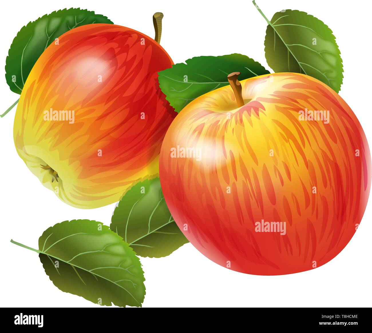 Äpfel. Zwei rote reife Früchte mit grünen Blättern auf weißem Hintergrund. Isoliert. Vektor Stock Vektor