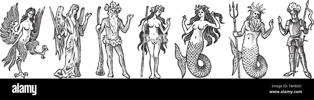 Fabelwesen für Heraldik im Vintage Style. Gravierte Wappen mit Tieren, Vögeln, Fischen, Harpyie, Ritter. Mittelalterliche Embleme und das Logo der Stock Vektor