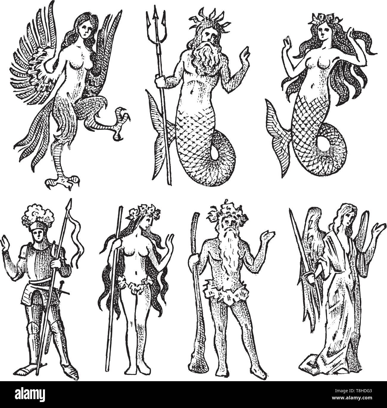 Fabelwesen für Heraldik im Vintage Style. Gravierte Wappen mit Tieren, Vögeln, Fischen, Harpyie, Ritter. Mittelalterliche Embleme und das Logo der Stock Vektor