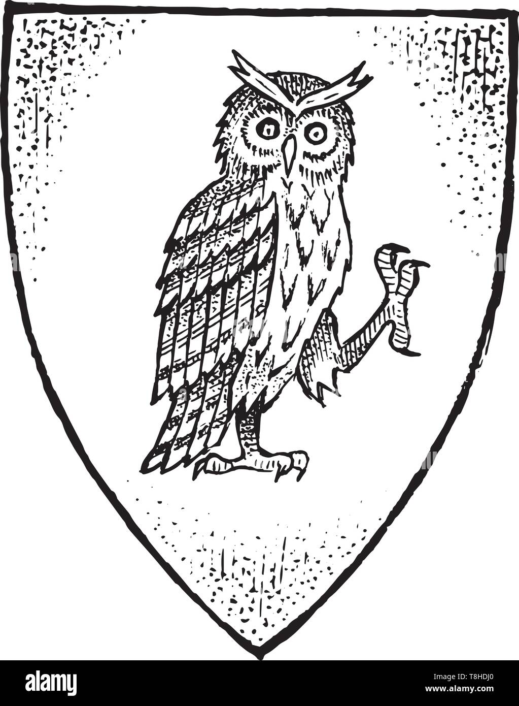 Tier für Heraldik im Vintage Style. Gravierte Wappen mit Eule Vogel. Mittelalterliche Embleme und das Logo der Fantasy Königreich. Stock Vektor
