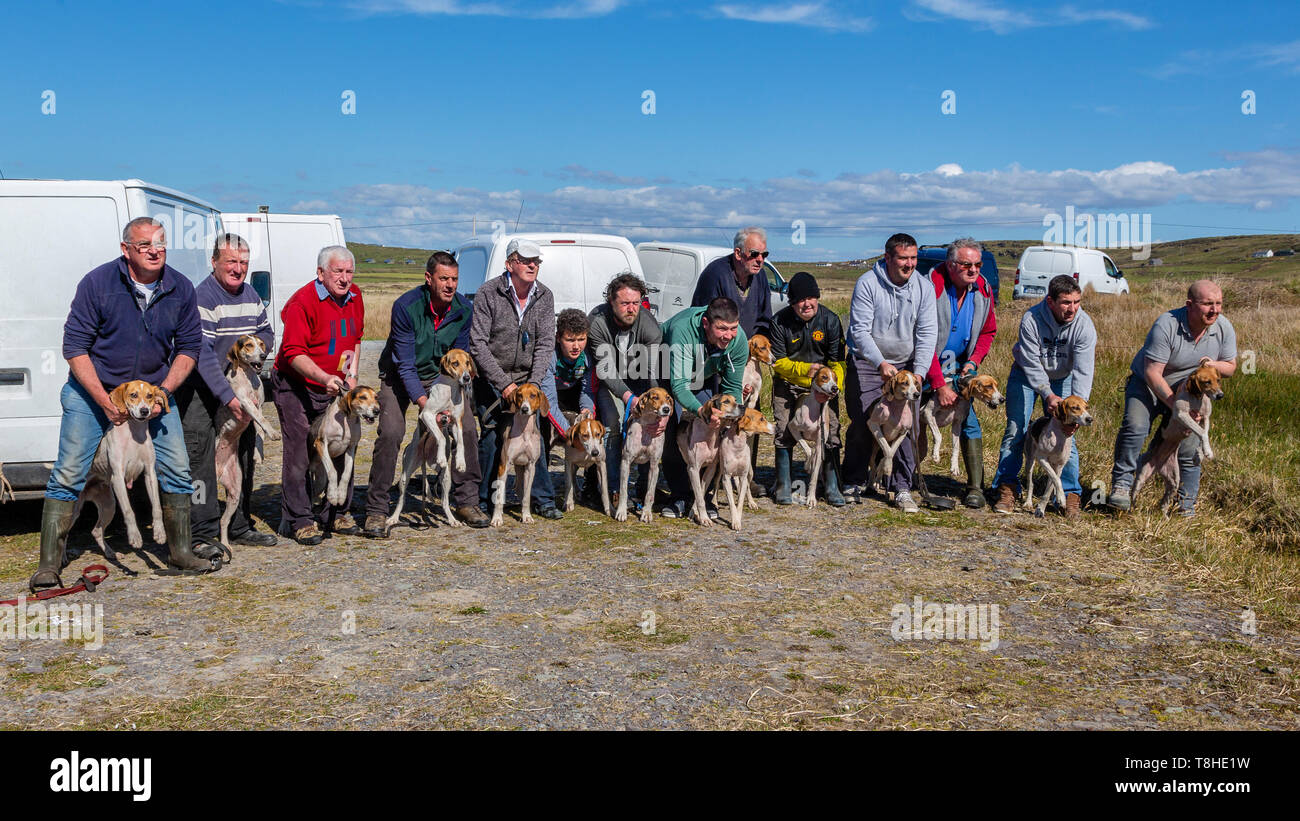 Jagd Rennen treffen Ziehen, Valentia Island, County Kerry, Irland Stockfoto