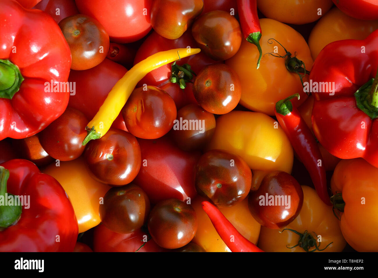 Sortierte Tomaten, rote Glocke und Peperoni Stockfoto