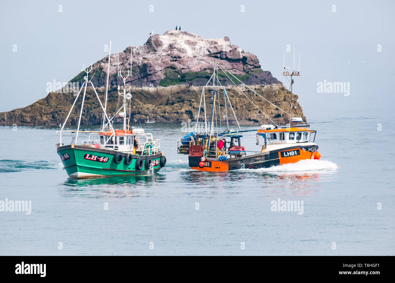 Dunbar Fischerboote in Meer neben kleine felsige Insel mit Seevögeln, Firth-of-Forth, East Lothian, Schottland, Großbritannien Stockfoto