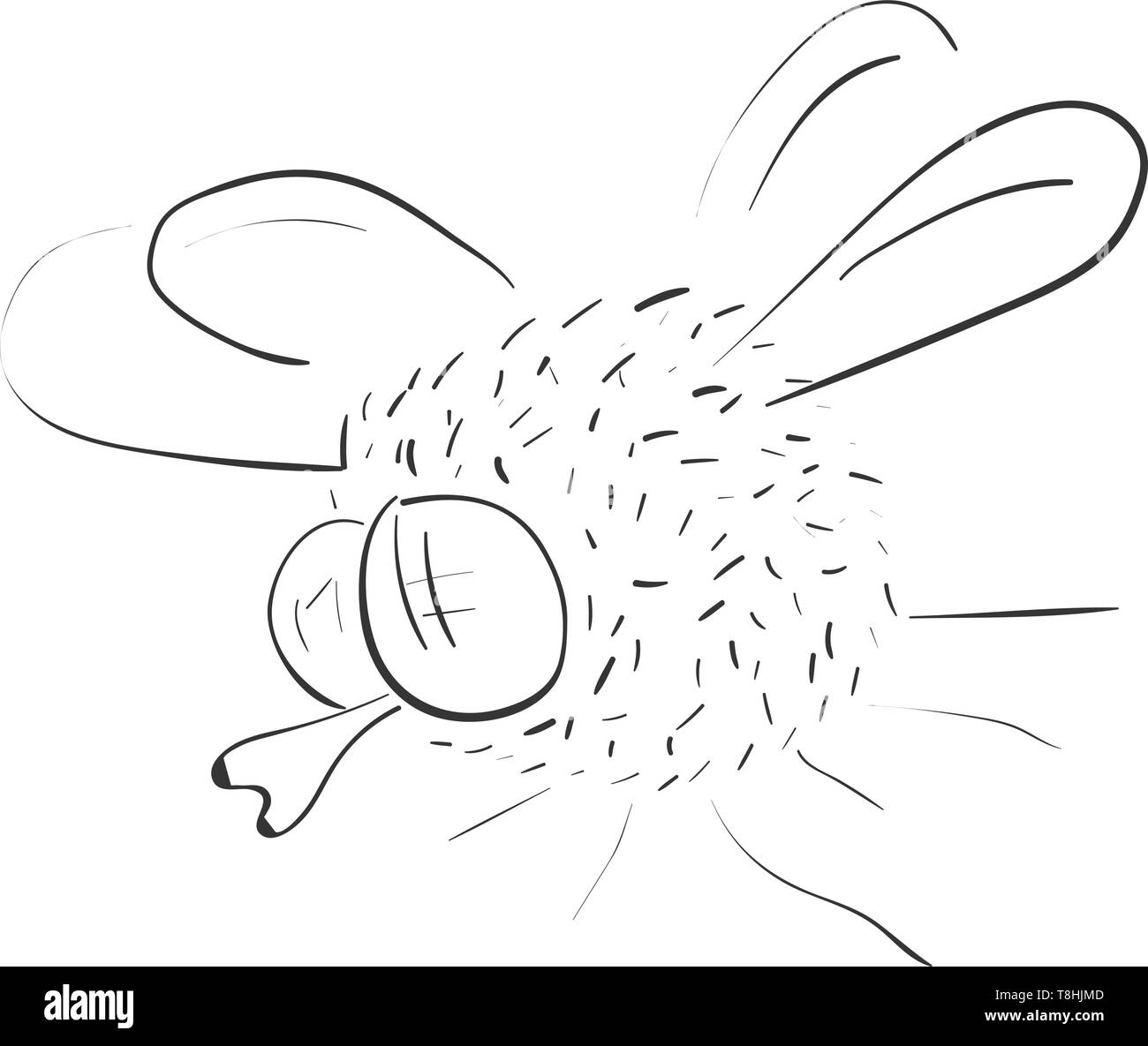  Eine Skizze einer Runde fliegen mit Flügeln, Vector, Farbe, Zeichnung Bildidee 