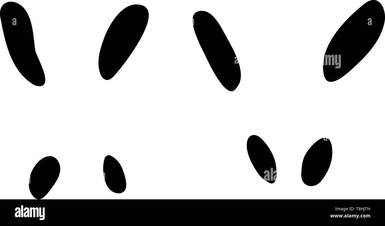 Eichhörnchen Platzbedarf. Schwarze Silhouette Design. Vector Illustration. Stock Vektor