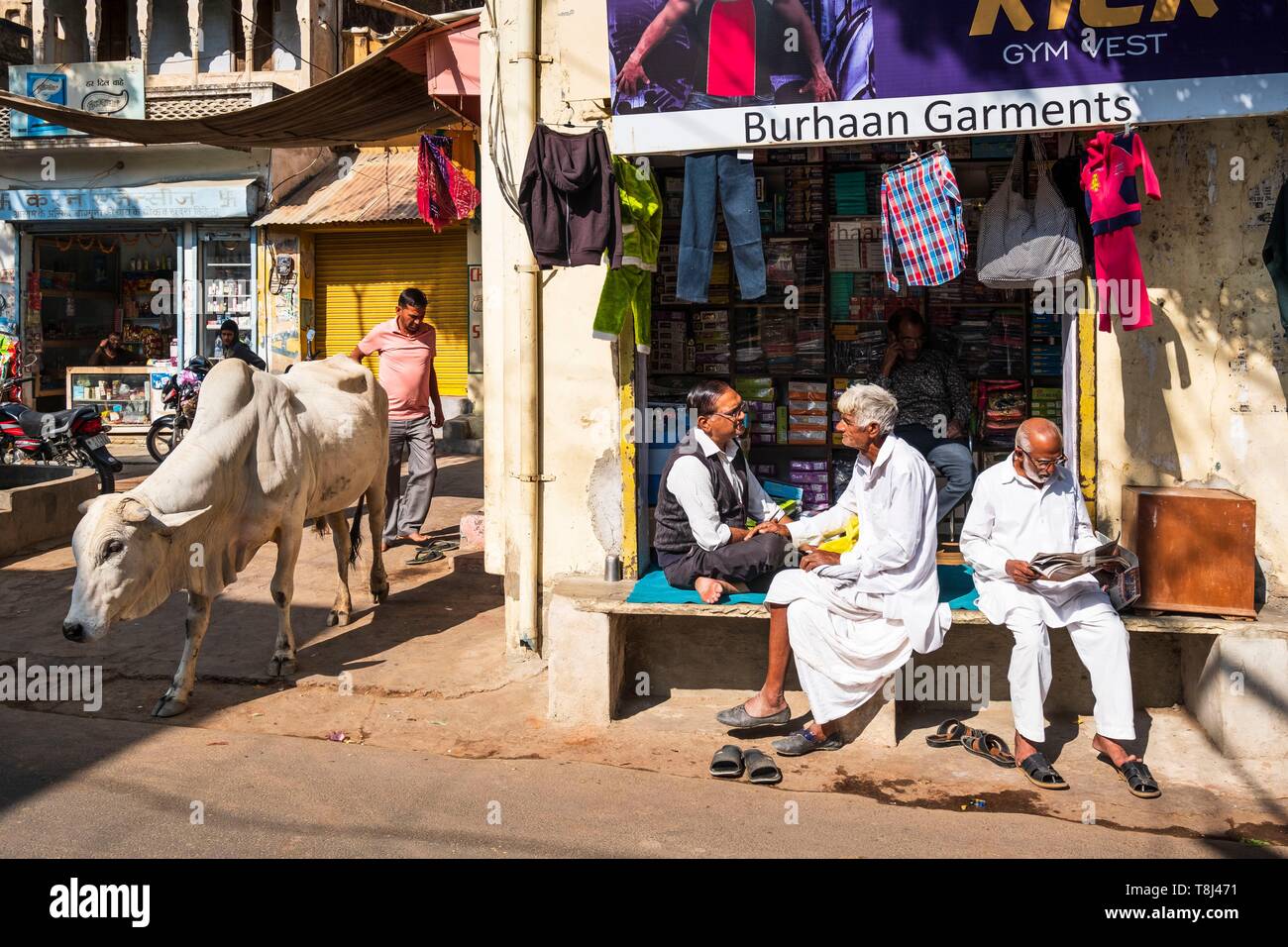 Indien, Rajasthan, Shekhawati Region, Mandawa, Market Street Stockfoto