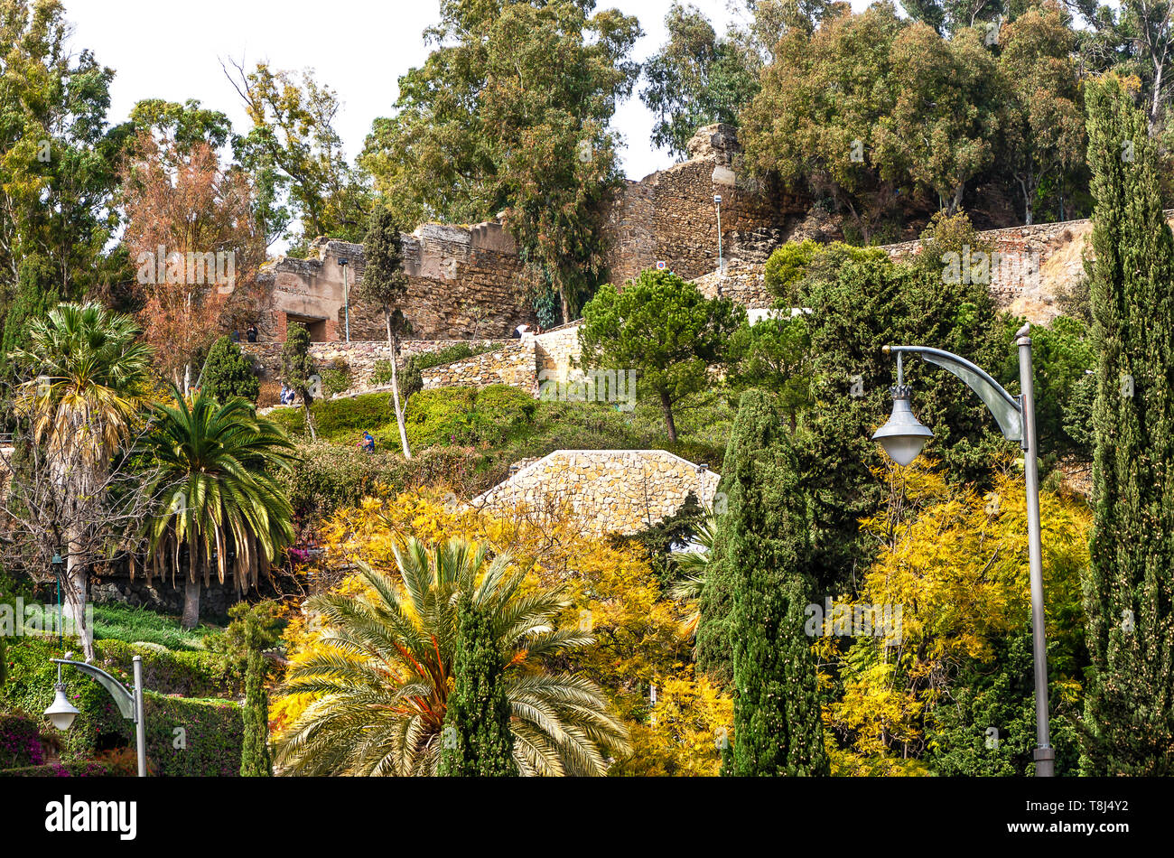 Die wunderschönen tropischen Park von Malaga in der Nähe Rathaus. Andalusien, Costa del Sol, Südspanien Stockfoto