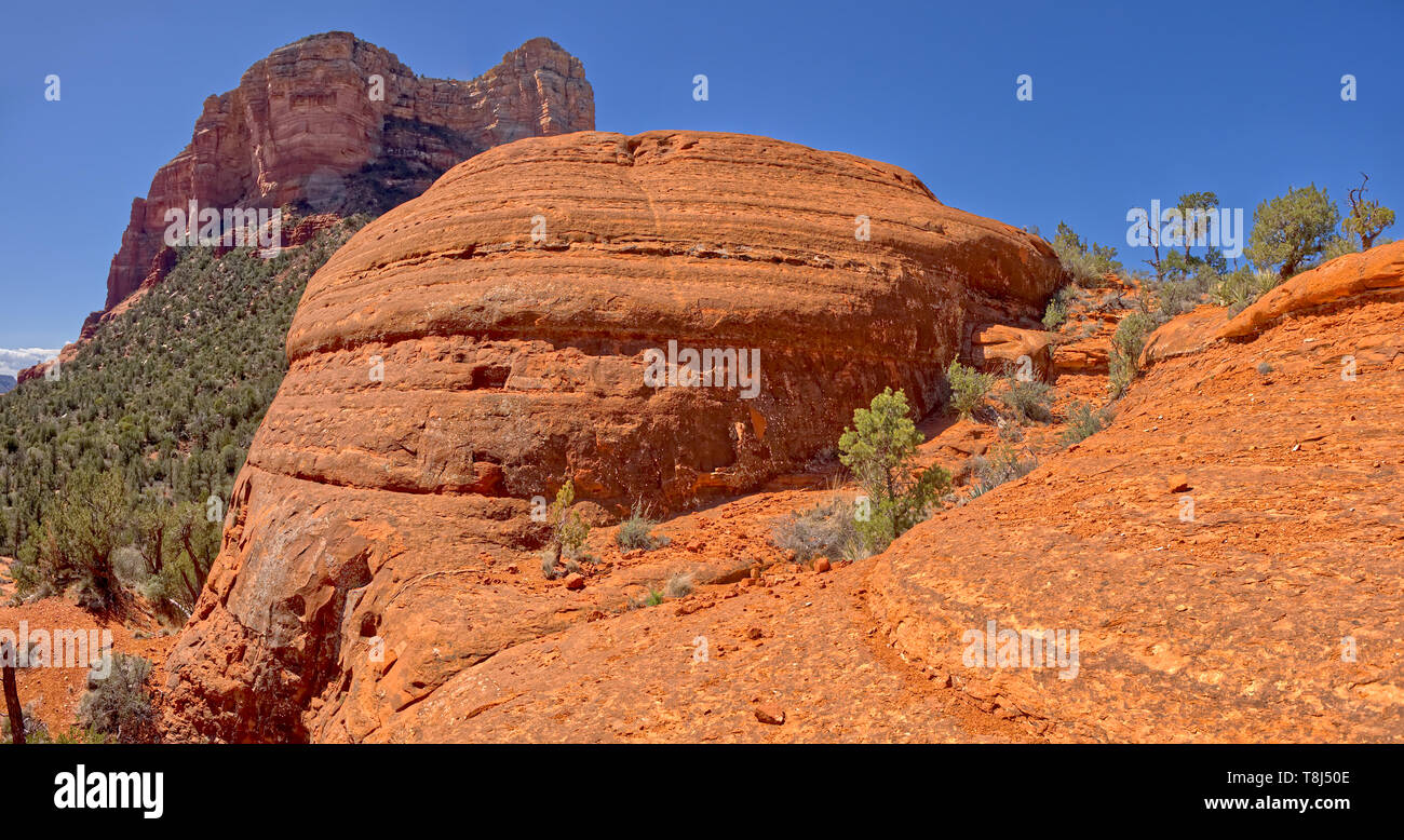 Courthouse Butte und Cathedral Rock gesehen von den Richtern Sitzbank, Sedona, Arizona, United States Stockfoto