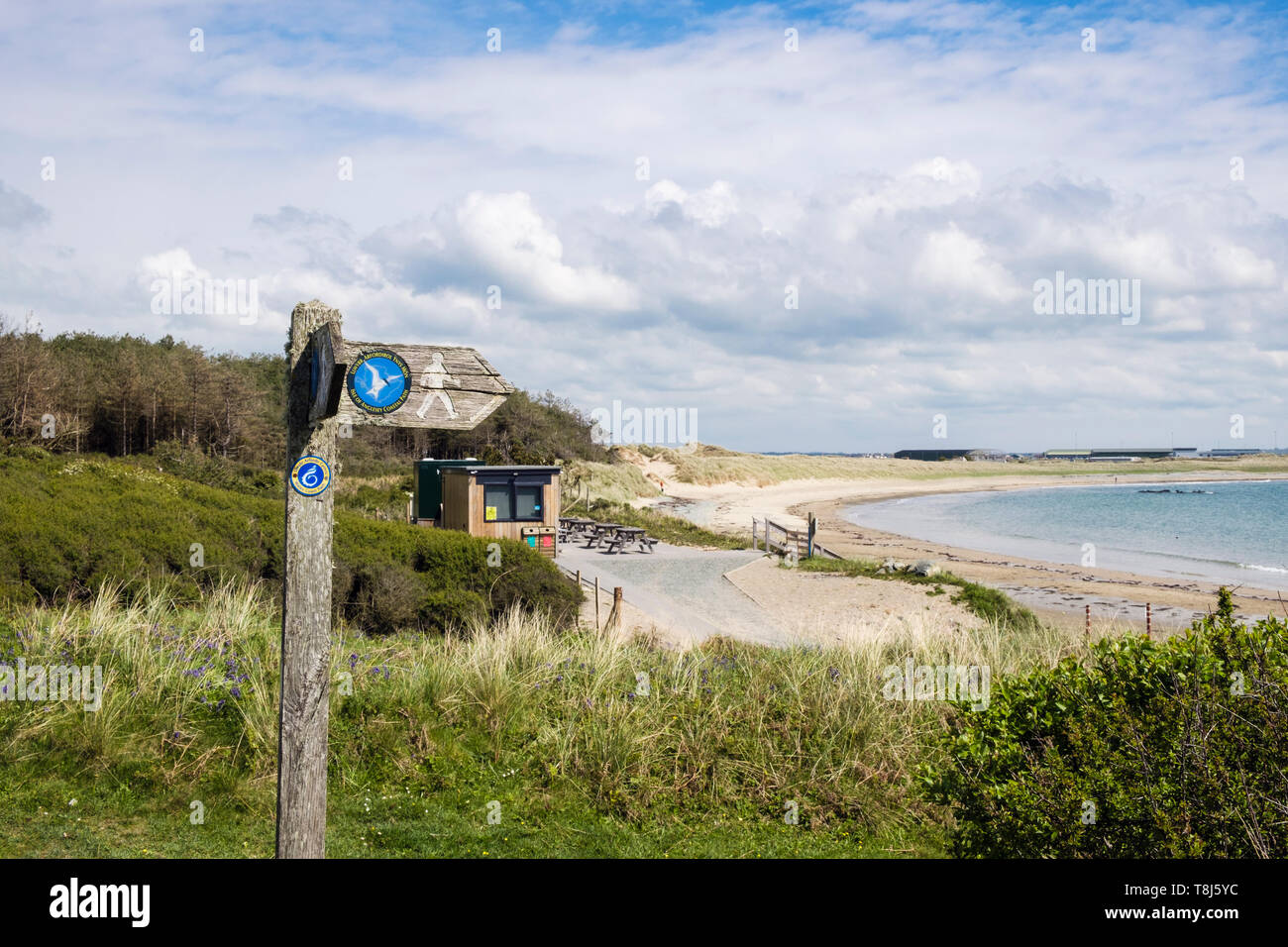 Küste Wanderweg Wegweiser auf Küstenweg zu Silver Bay schönen ruhigen Sandstrand. Rhoscolyn, Isle of Anglesey, Wales, Großbritannien, Großbritannien Stockfoto