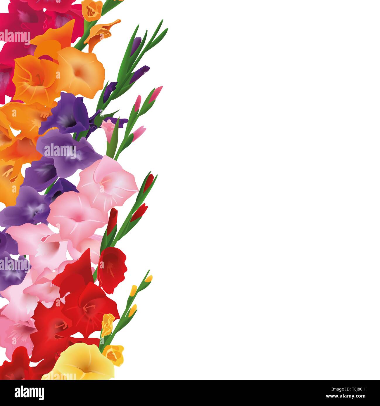 Gladioluses Karte. Copyspace, Platz für Text. schwertlilie Blumen. Vektor Karte Abbildung. Gelb, Rot, Pink, Lila, Orange Stock Vektor