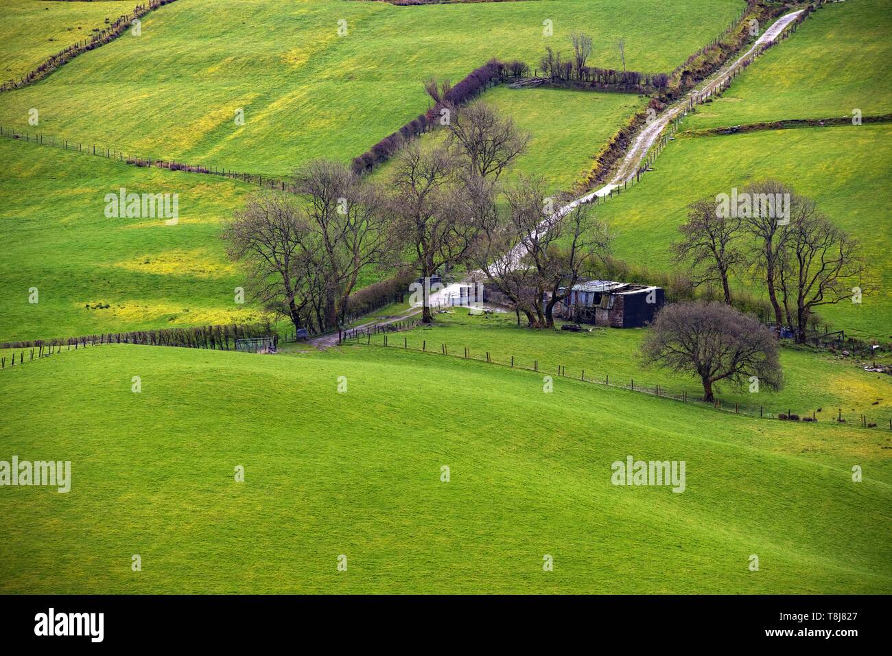 Großbritannien, Nordirland, Ulster, County Tyrone, Sperrin Mountains, Stockfoto