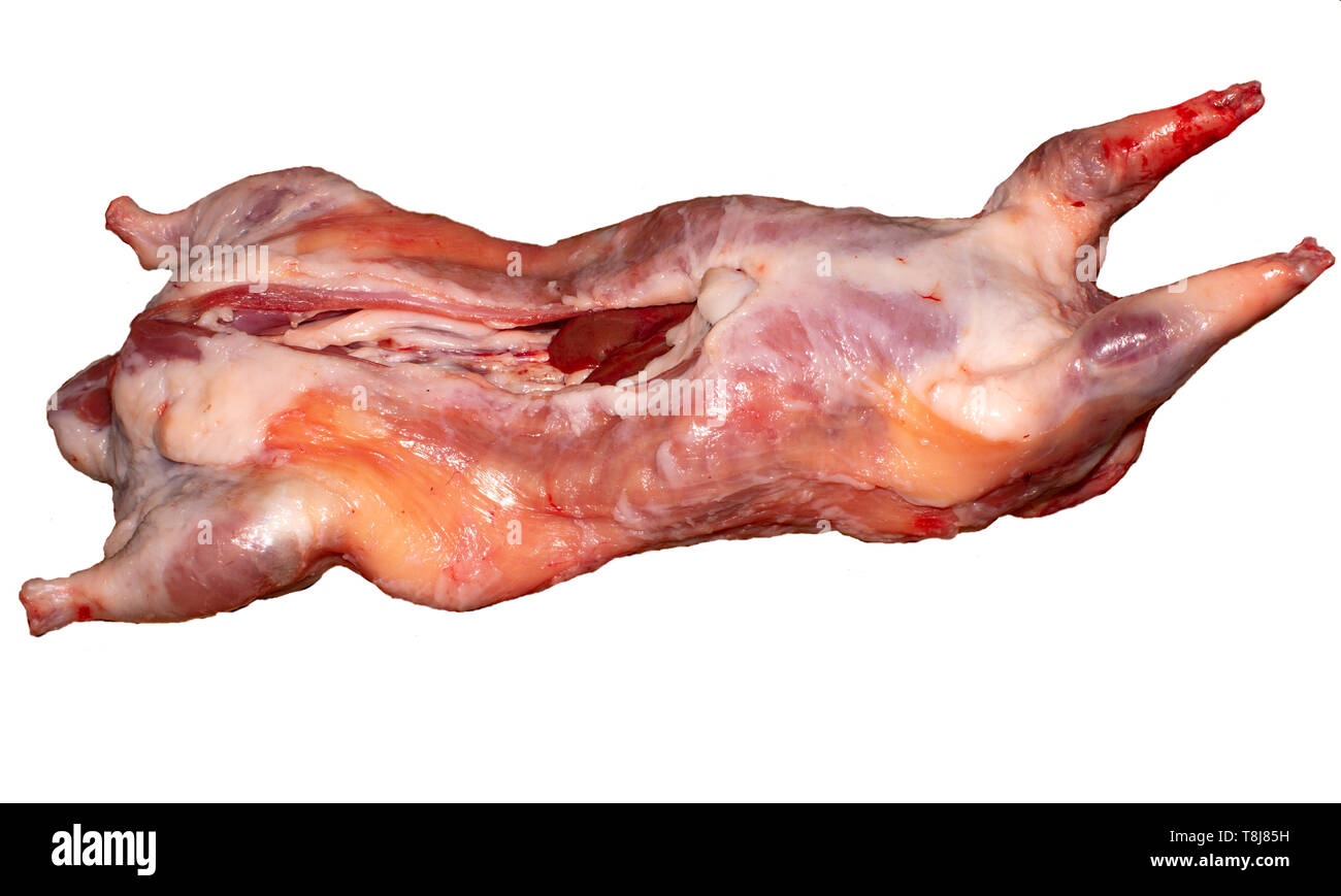 Das Foto des Tieres Tierkörperfleisch für Metzgerei, Restaurant oder tierärztlichen Kompetenz Stockfoto