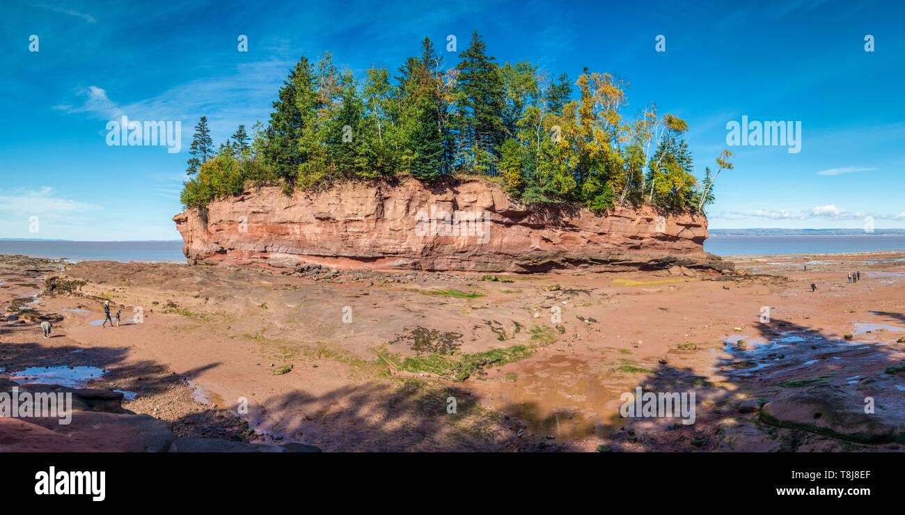 Kanada, Nova Scotia, Minasville, burncoat Kopf Park auf der Minas Basin, kleine Insel bei Ebbe Stockfoto