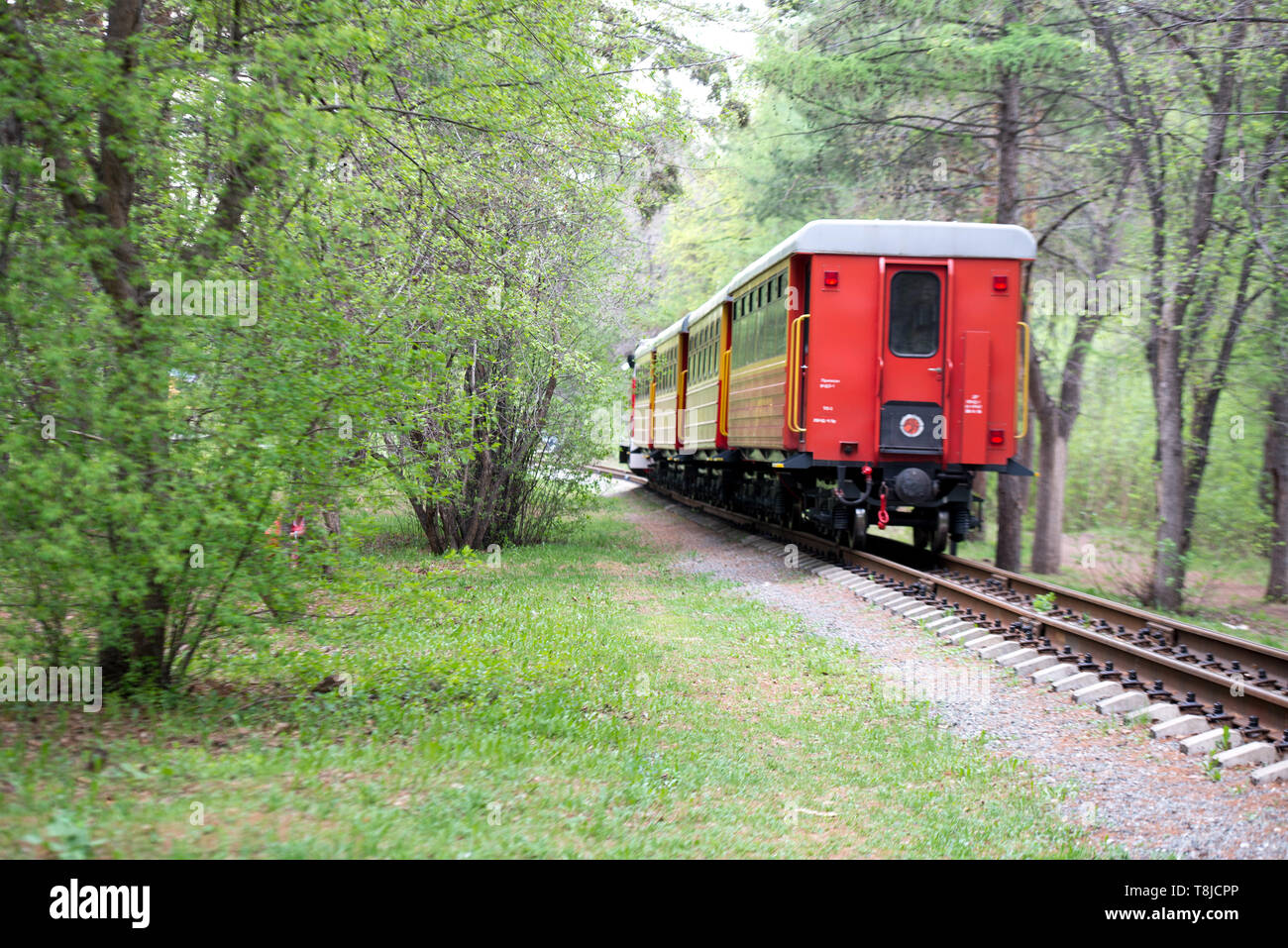 Die Rückseite des Zuges mit einem roten Wagen am Ende der Straße durch eine wunderschöne Landschaft, Eisenbahn. Das letzte Auto der abgehenden Zug Stockfoto