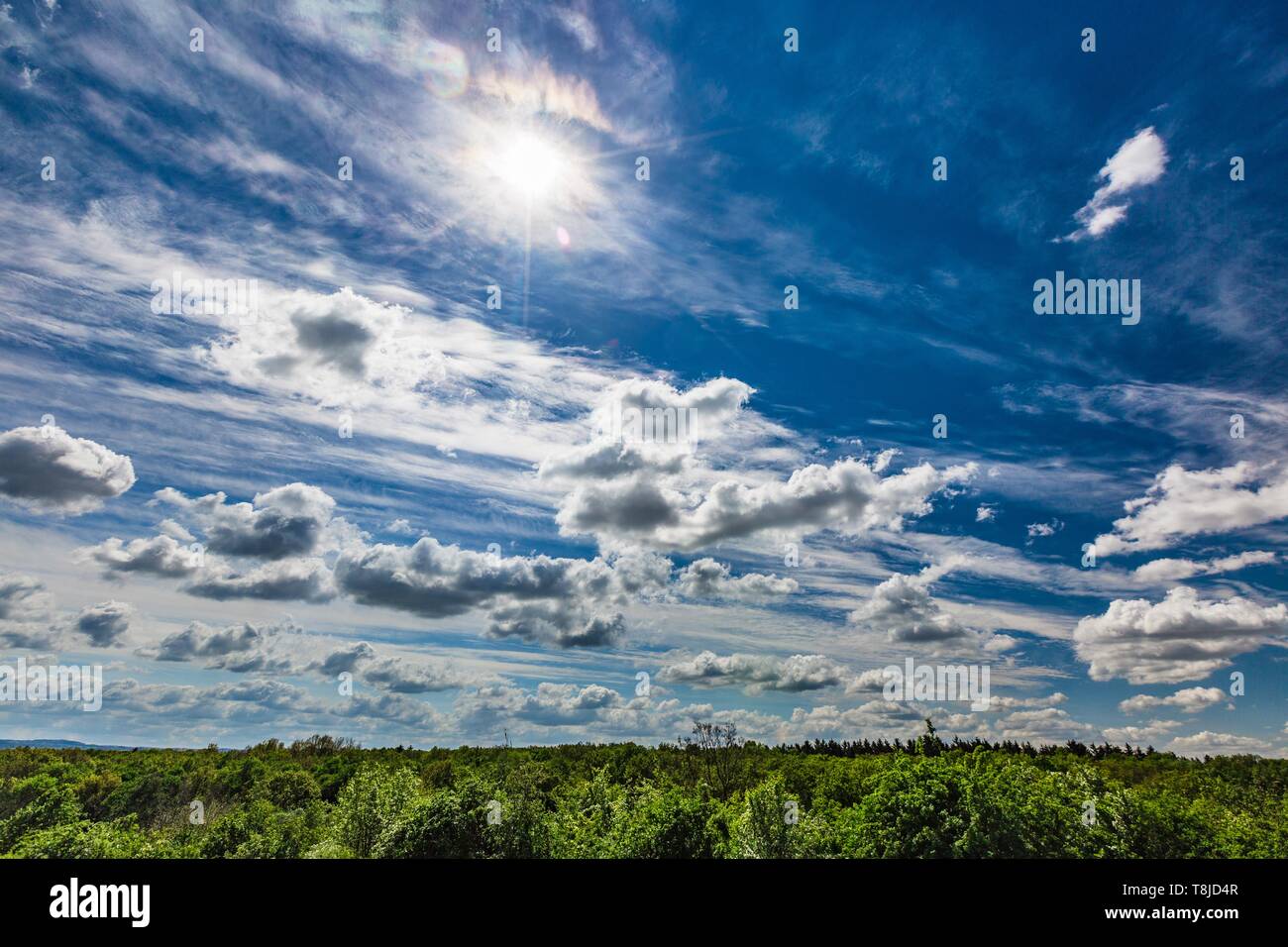 Blick auf windigen Frühlingstag mit weißen Wolken am blauen Himmel und strahlende Sonne. Grünen Wald am Horizont. Stockfoto