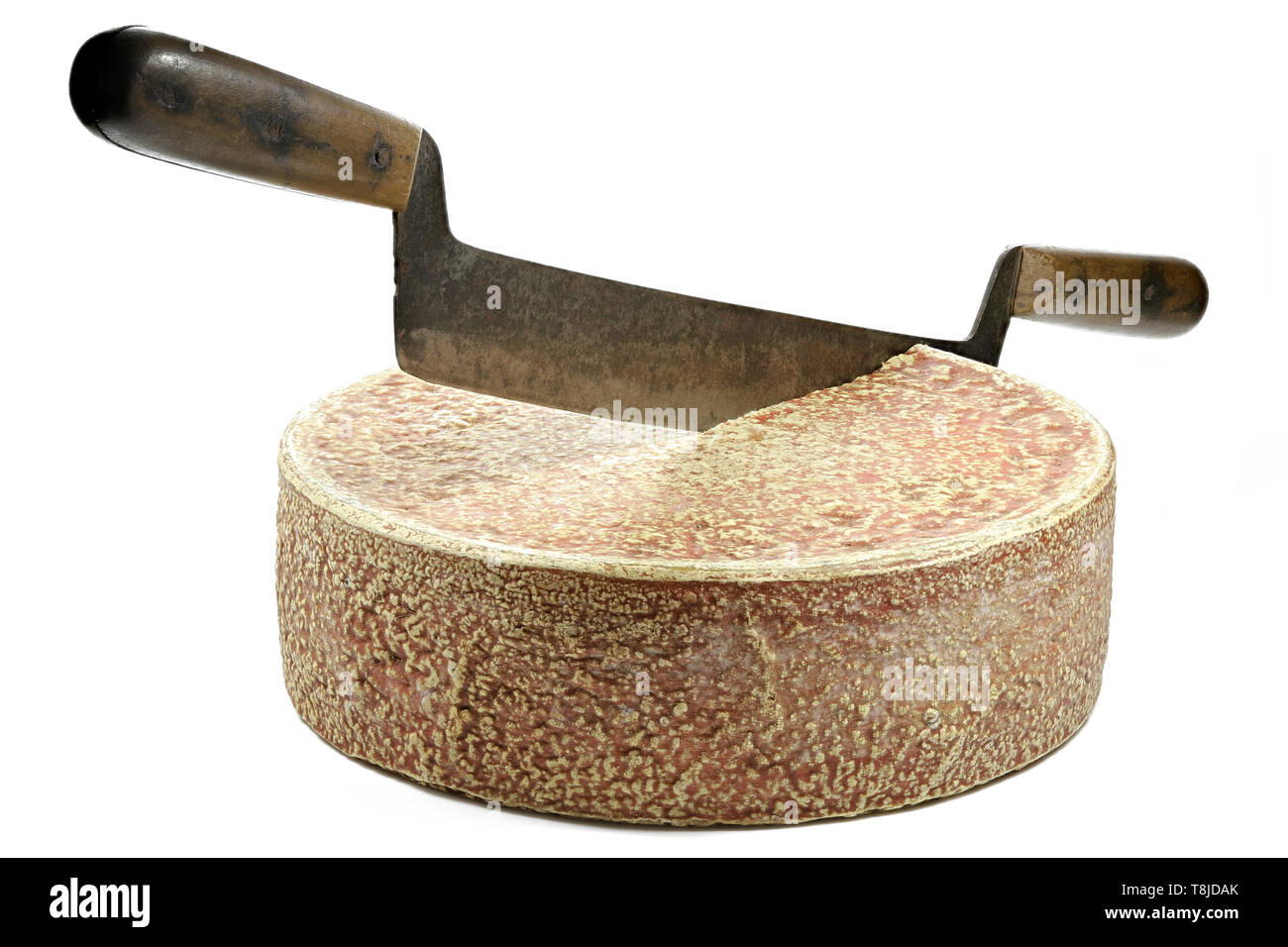 Bio Heu Milch Käse Rad aus dem Deutschen Allgäu mit Vintage Käse Messer auf weißem Hintergrund Stockfoto